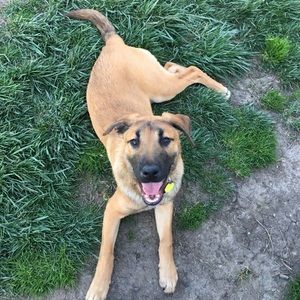 Welcome to Bagel’s Closet 🥯